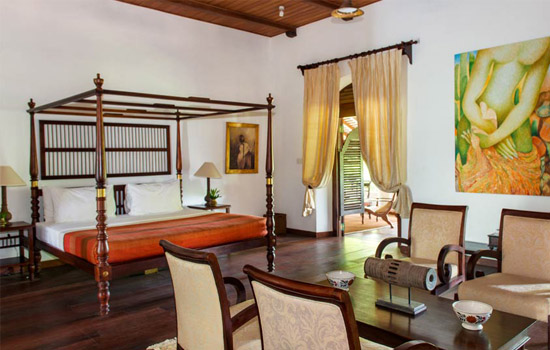 portfolio woocommerce