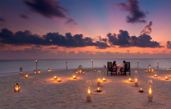 portfolio woocommerce