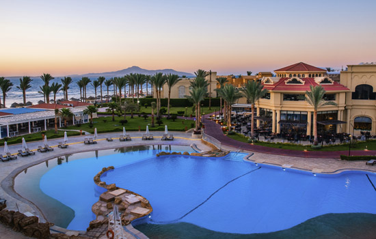 portfolio woocommerce